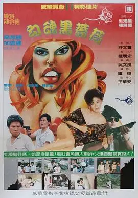勾魂黑蔷薇 海报
