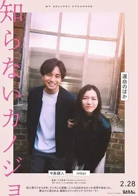不认识的女友 海报
